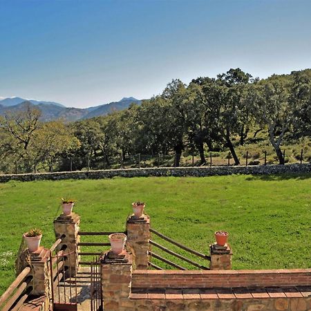 Lovely Home In Cortes De La Frontera With Kitchen 外观 照片